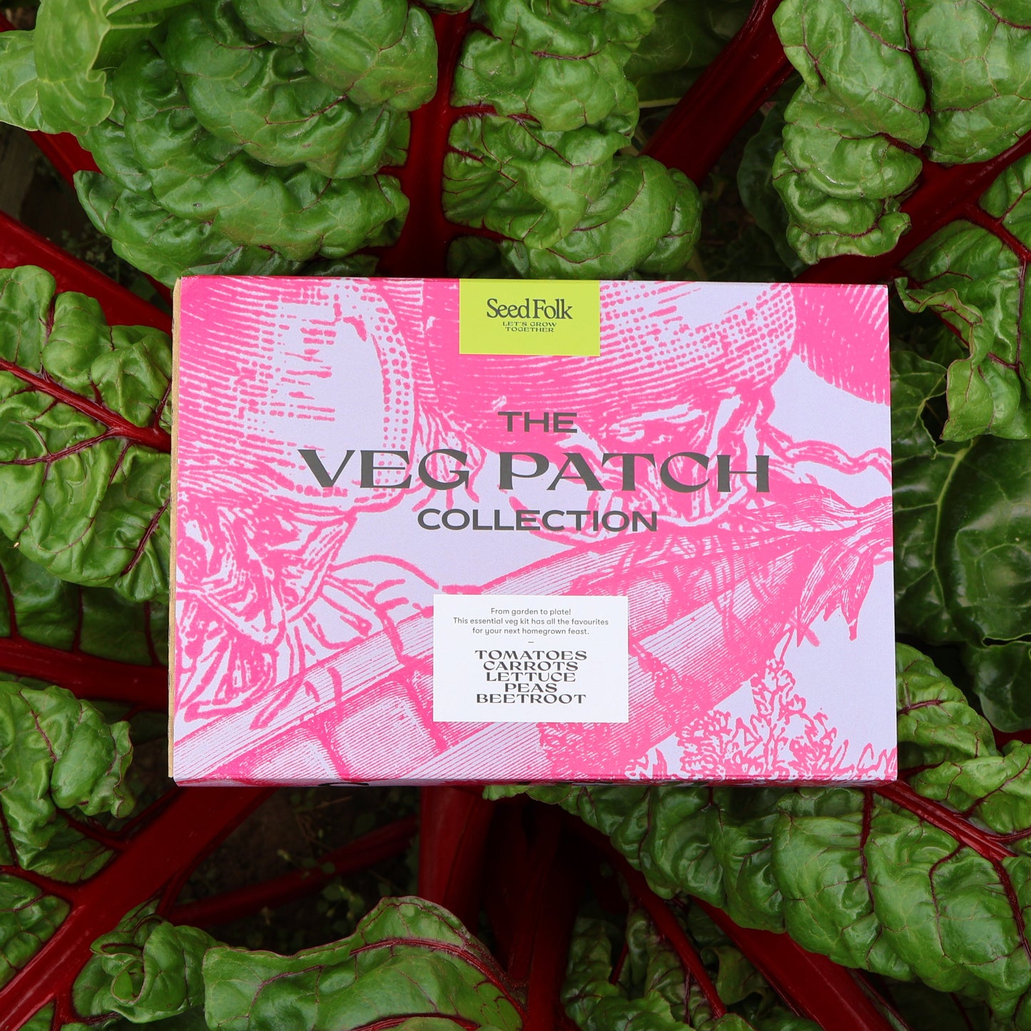 The Veg Patch Seed Collection photographed on chard plant.