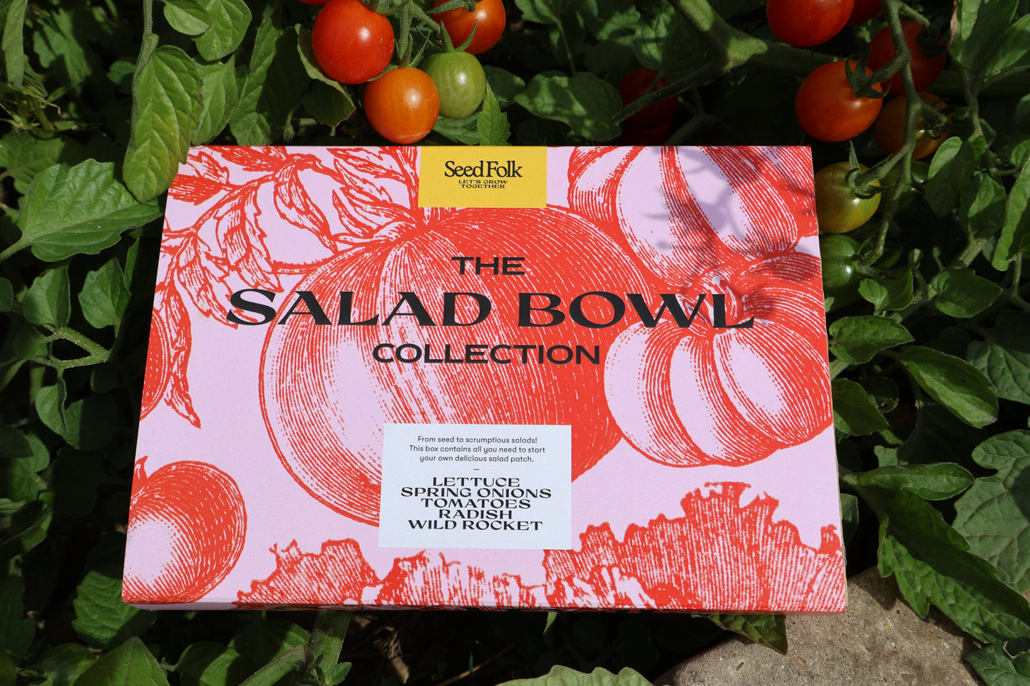 The Seed Collection Gift Box