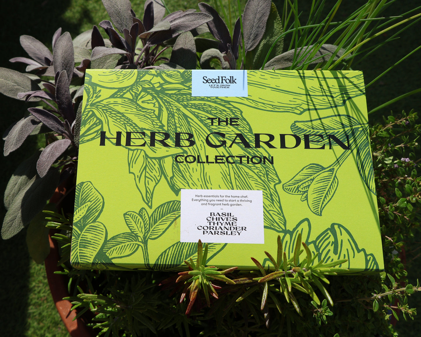 The Herb Garden Seed Collection photographed in a herb garden.