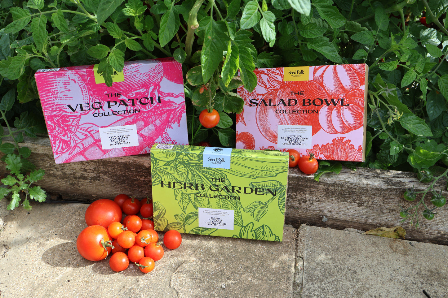 The Seed Collection Gift Box