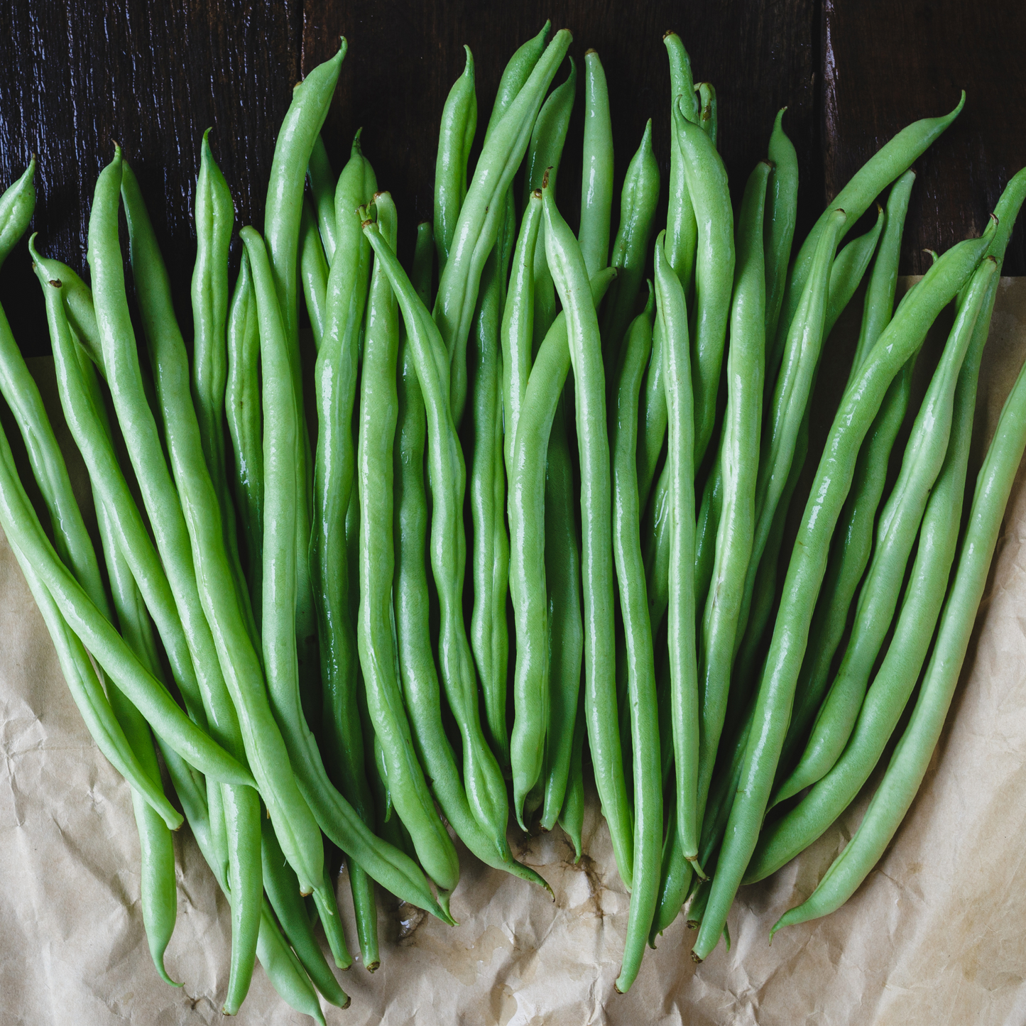Dwarf French Bean