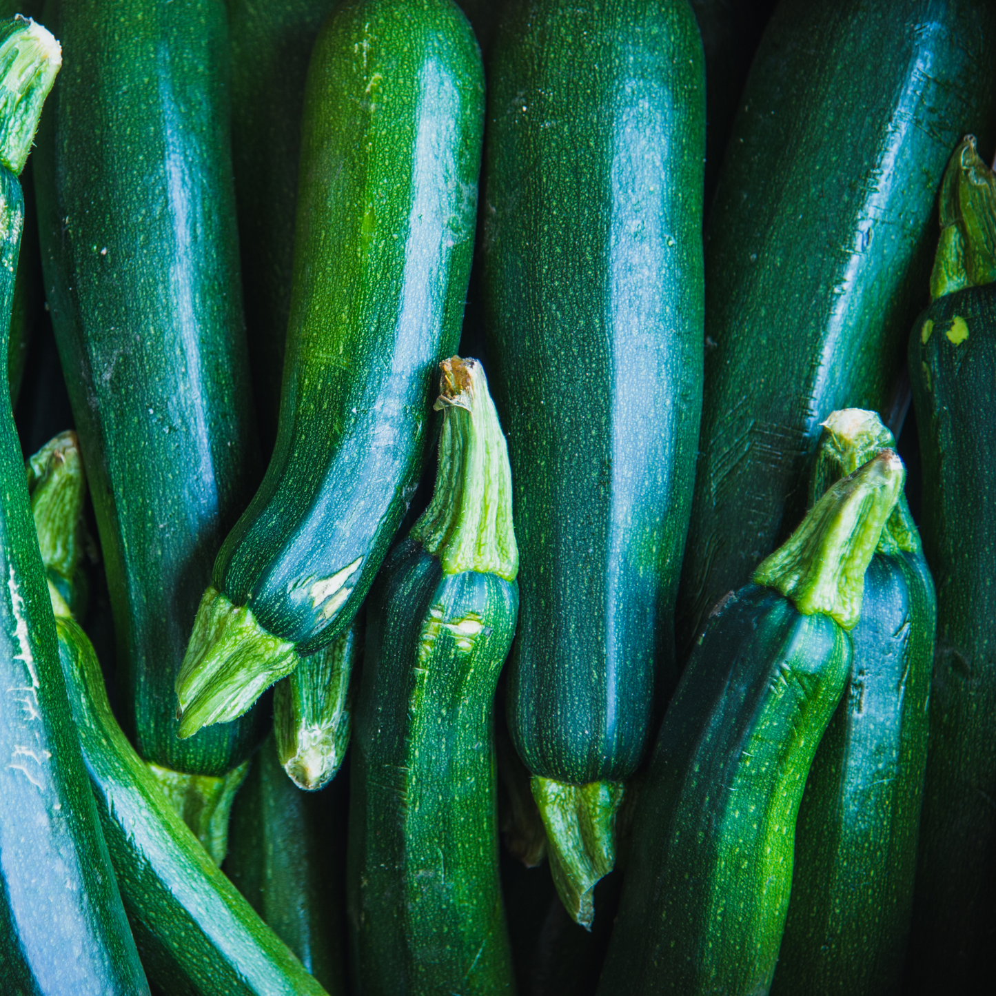 Courgette