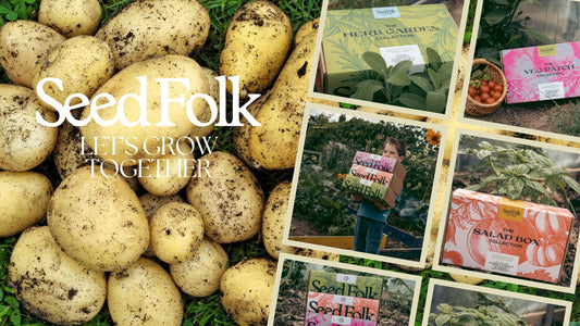 Planting Festive Potatoes With The August Monthly Grow Kit | Seed Folk