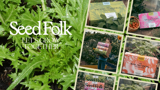 Planting Mizuna With The August Monthly Grow Kit | Seed Folk