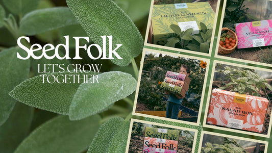 Planting Sage With The August Monthly Grow Kit | Seed Folk