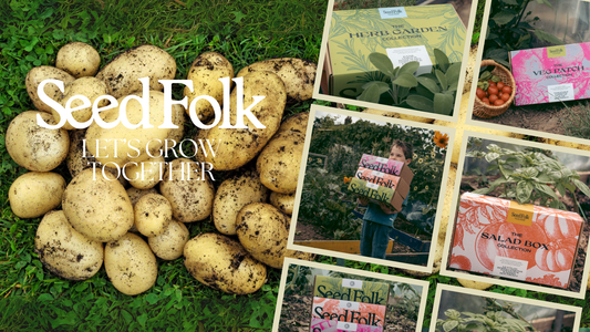 PLANTING CHARLOTTE POTATOES WITH THE APRIL MONTHLY GROW KIT