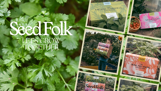 PLANTING CORIANDER WITH THE APRIL MONTHLY GROW KIT