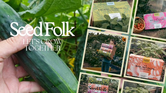 PLANTING CUCUMBER WITH THE APRIL MONTHLY GROW KIT
