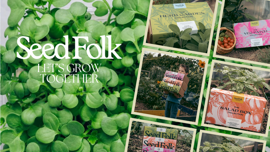 Planting Cress with Decembers Monthly Grow Box