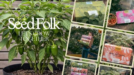 PLANTING PADRÓN PEPPERS WITH FEBRUARY'S MONTHLY GROW KIT