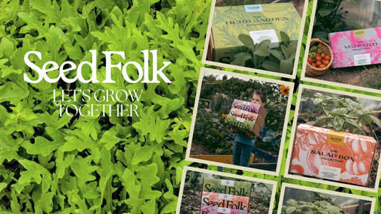 PLANTING ROCKET WITH FEBRUARY'S MONTHLY GROW KIT