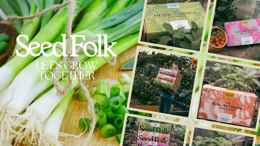 PLANTING SPRING ONIONS WITH FEBRUARY'S MONTHLY GROW KIT