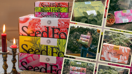 BEAUTIFUL GROW-YOUR-OWN GIFT BOXES