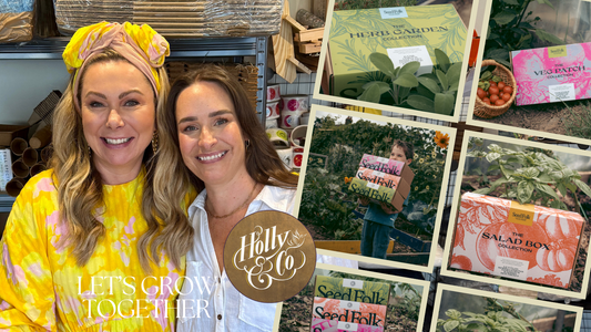 In Case You Missed It: We’ve Joined Holly & Co