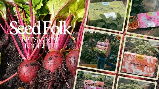 PLANTING BEETROOT WITH THE JULY MONTHLY GROW KIT