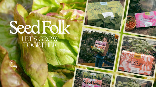 PLANTING BUTTERHEAD LETTUCE WITH THE JULY MONTHLY GROW KIT
