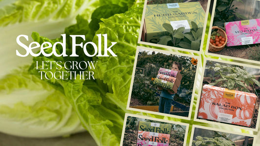 PLANTING CHINESE CABBAGE WITH THE JULY MONTHLY GROW KIT