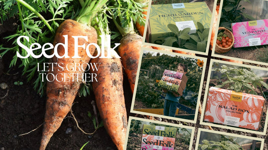 PLANTING CARROTS WITH THE JUNE MONTHLY GROW KIT
