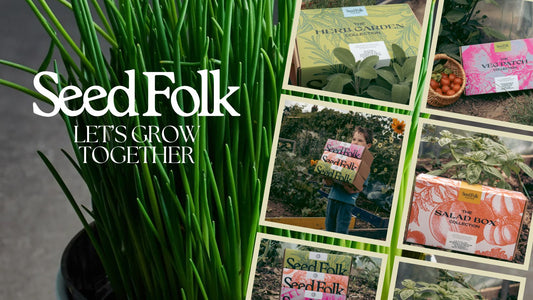 PLANTING CHIVES WITH THE JUNE MONTHLY GROW KIT