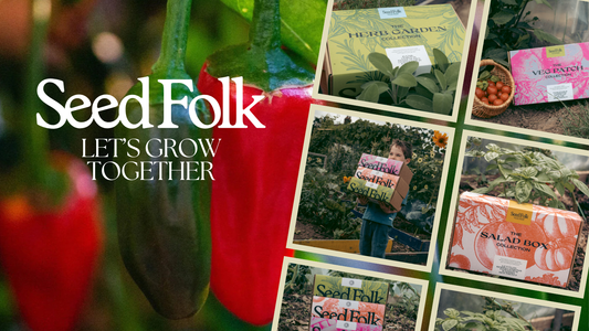 Planting Jalapeño Chillies with January's Monthly Grow Kit