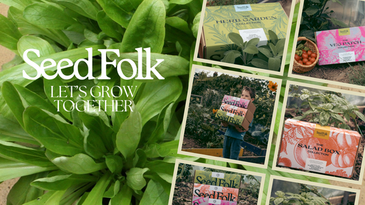 Planting Lamb's Lettuce With The October Monthly Grow Kit | Seed Folk