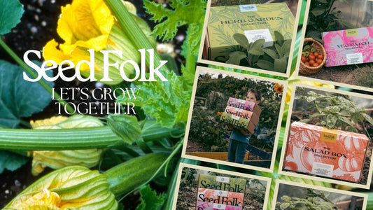 PLANTING COURGETTES WITH THE MAY MONTHLY GROW KIT