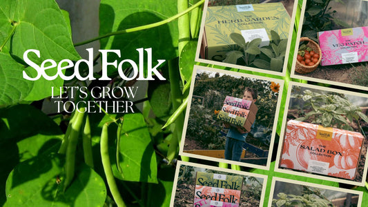 PLANTING DWARF FRENCH BEANS WITH THE MAY MONTHLY GROW KIT