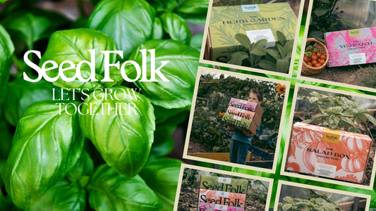 PLANTING BASIL WITH THE MARCH MONTHLY GROW KIT
