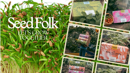 Planting Fennel Microgreens with Decembers Monthly Grow Box