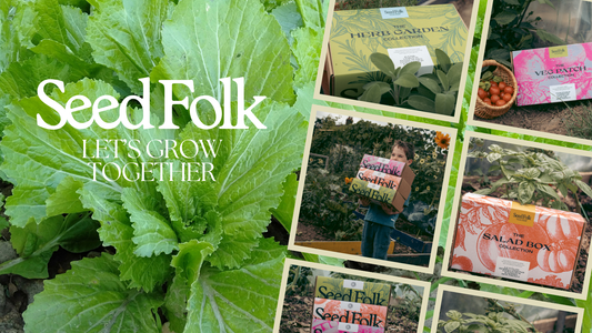 Planting Mustard Greens with October’s Monthly Grow Box