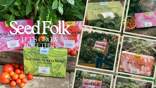Introducing The Seed Collection Box - The Gift That Keeps on Growing