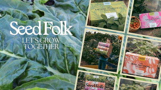 Planting Perpetual Spinach With The October Monthly Grow Kit | Seed Folk