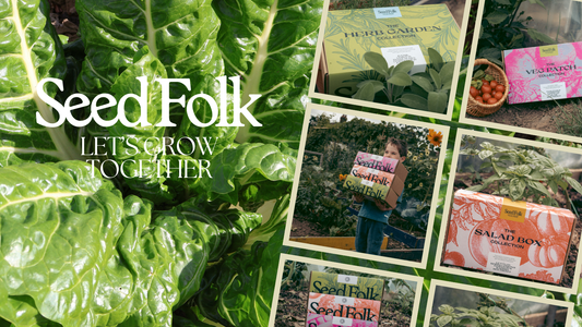 OCTOBER: PERPETUAL SPINACH