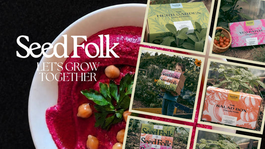 POT TO PLATE: ROASTED BEETROOT HUMMUS