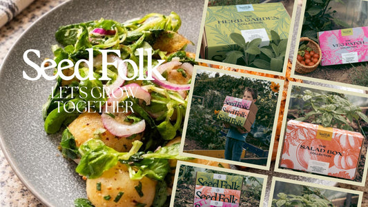 Pot To Plate: Lamb’s Lettuce & Warm Potato Salad | Seed Folk