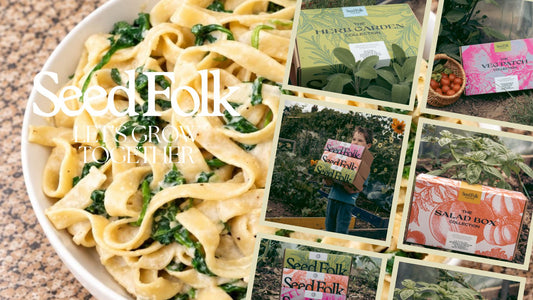Pot To Plate: Creamy Mustard Greens & Spinach Pasta | Seed Folk
