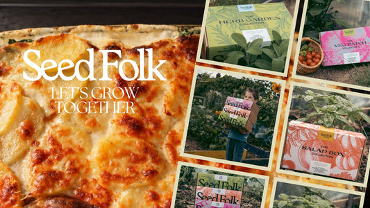 Pot To Plate: Creamy Perpetual Spinach & Potato Gratin | Seed Folk