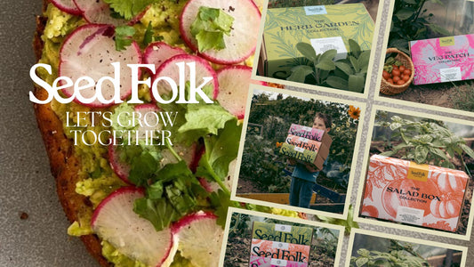 Pot To Plate: Radish & Smashed Avocado Sourdough Toast | Seed Folk