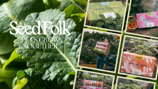 Planting Baby Kale with November’s Monthly Grow Box