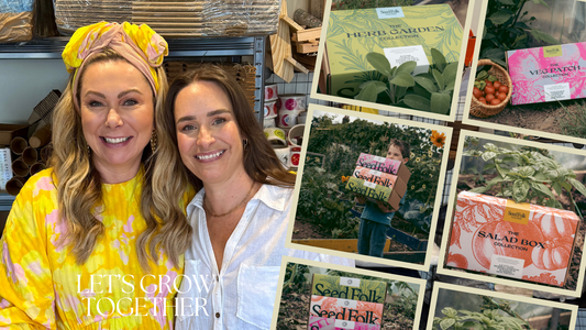 Seed Folk on ITV’s Be Your Own Boss