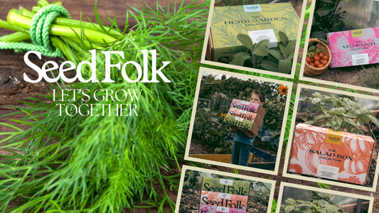 Planting Dill with January's Monthly Grow Kit