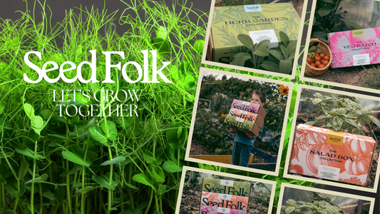 Planting Pea Shoots with November’s Monthly Grow Box