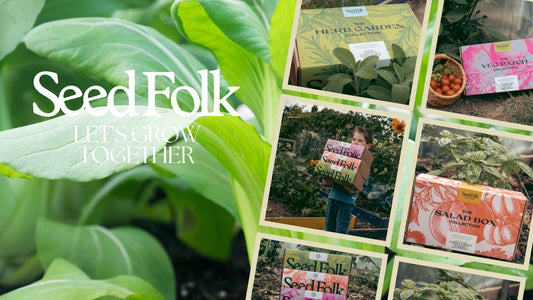 Planting Pak Choi With The September Monthly Grow Kit | Seed Folk