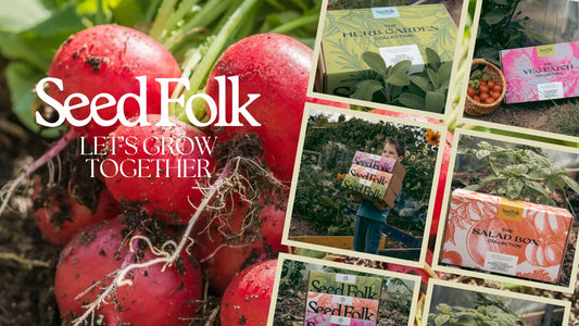 Planting Radish With The September Monthly Grow Kit | Seed Folk