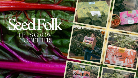 Planting Rainbow Chard With The September Monthly Grow Kit | Seed Folk