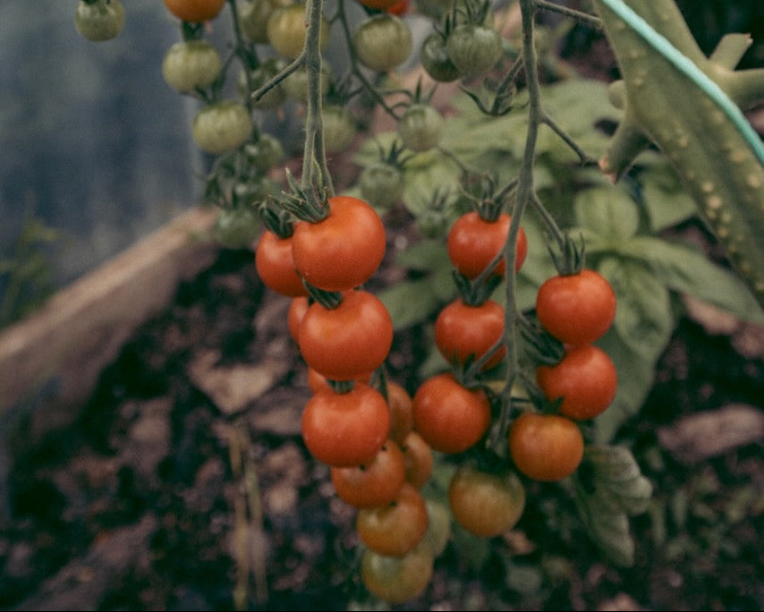 Grow Together, Season by Season