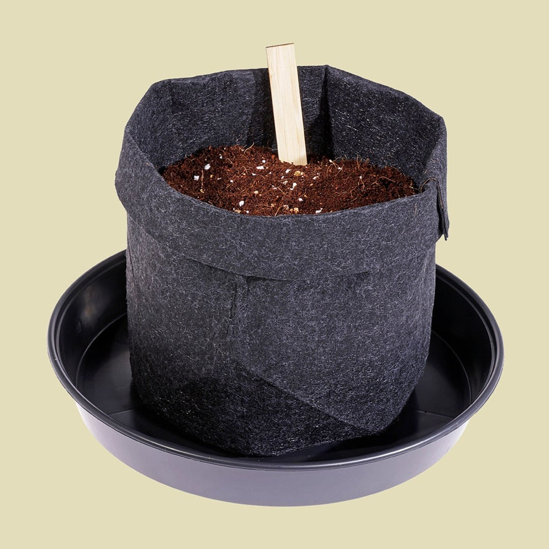 Our eco friendly fabric grow pots, a biodegradable alternative to traditional plastic pots. And our recycled plastic saucers.