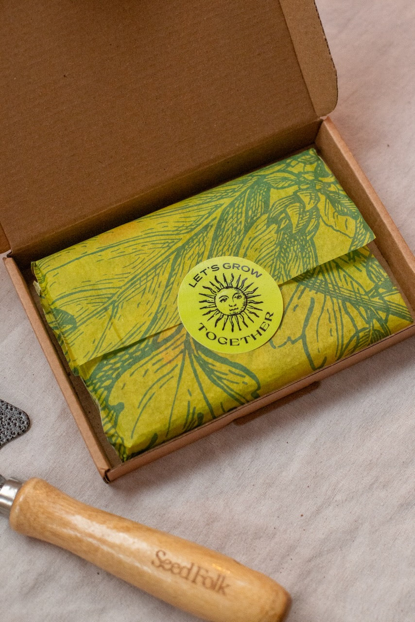 The Seed Collection Box