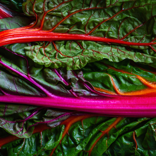 Rainbow Chard