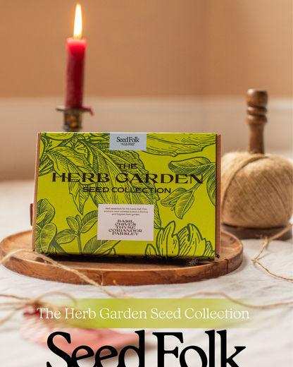 The Seed Collection Box